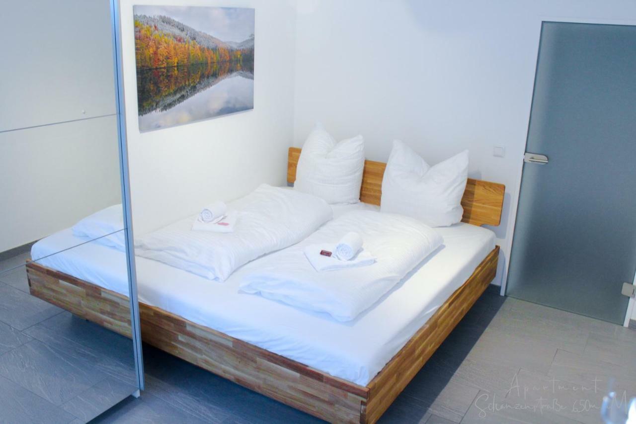 Apartment Schanzenstrasse 690 M Ue. M Winterberg Dış mekan fotoğraf