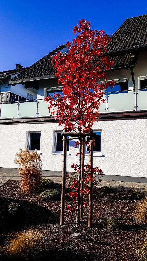 Apartment Schanzenstrasse 690 M Ue. M Winterberg Dış mekan fotoğraf