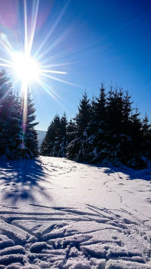 Apartment Schanzenstrasse 690 M Ue. M Winterberg Dış mekan fotoğraf