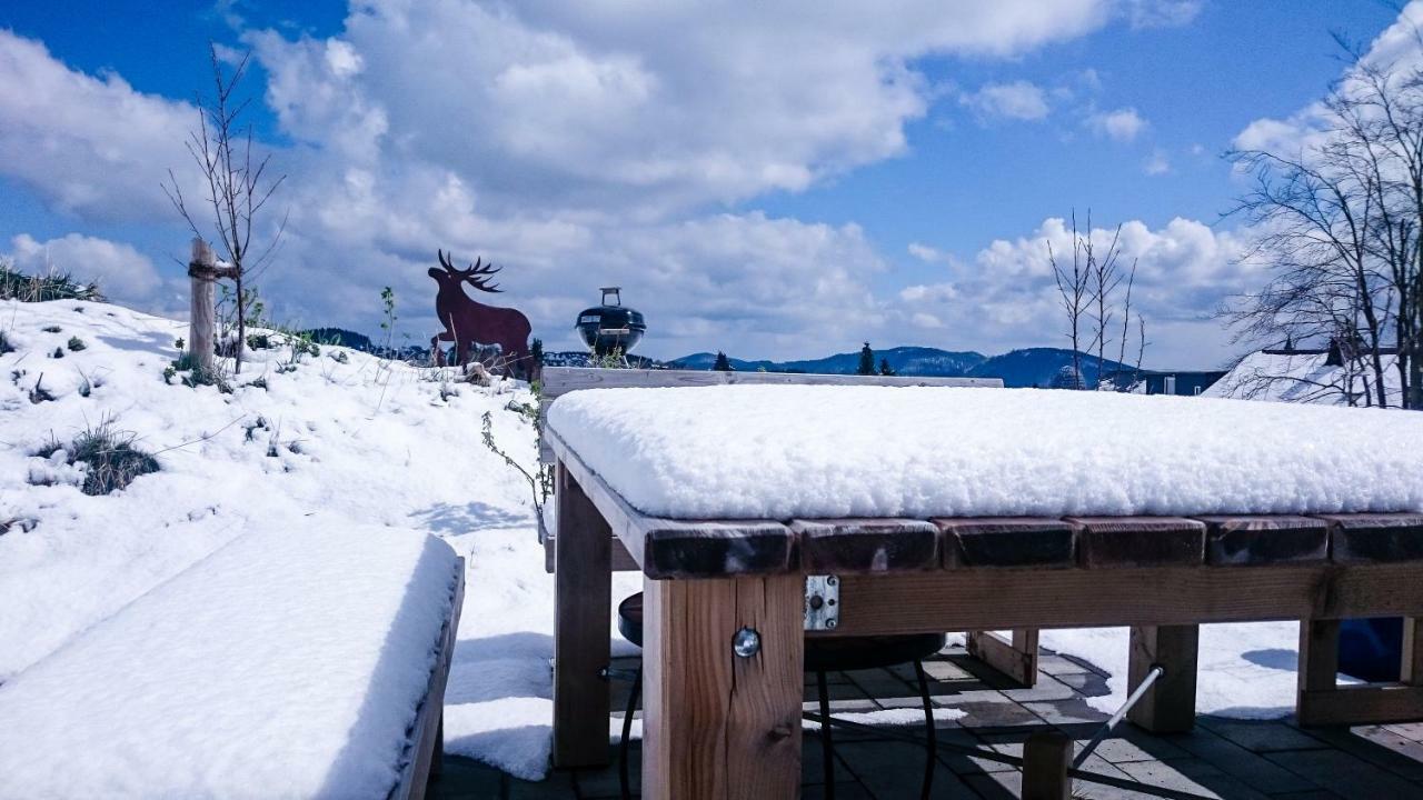 Apartment Schanzenstrasse 690 M Ue. M Winterberg Dış mekan fotoğraf